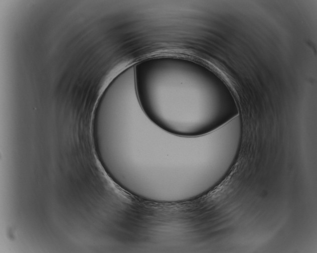 X0000094921050200711291018