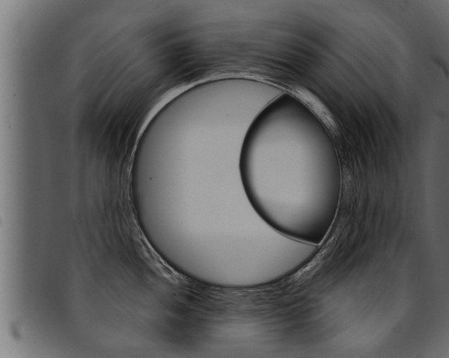 X0000094921052200711291018