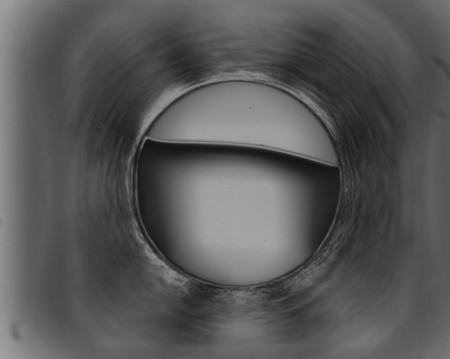 X0000094921054200711291018