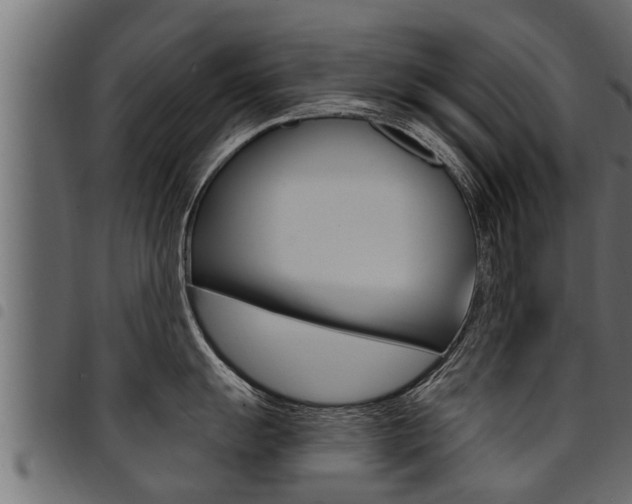 X0000094921055200711291018
