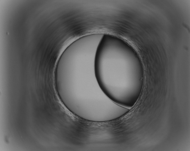 X0000094921056200711291018