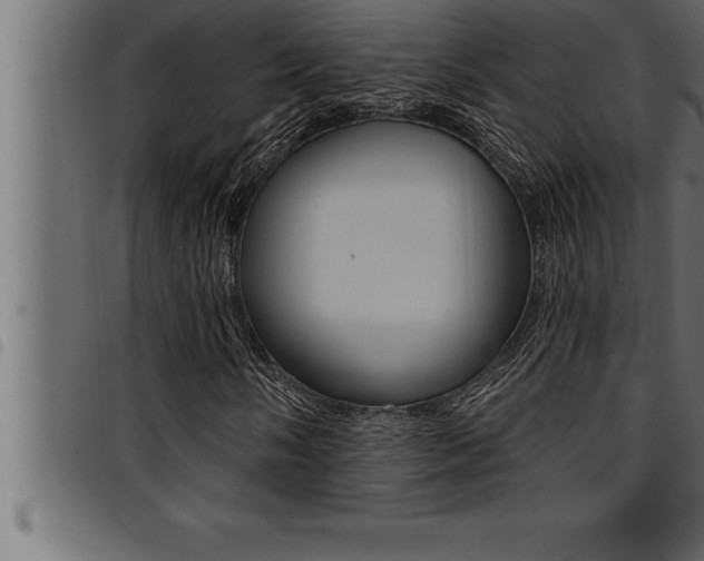 X0000094921058200711291017