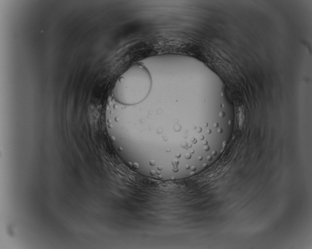 X0000094921059200711291017