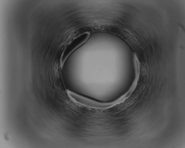 X0000094921060200711291017