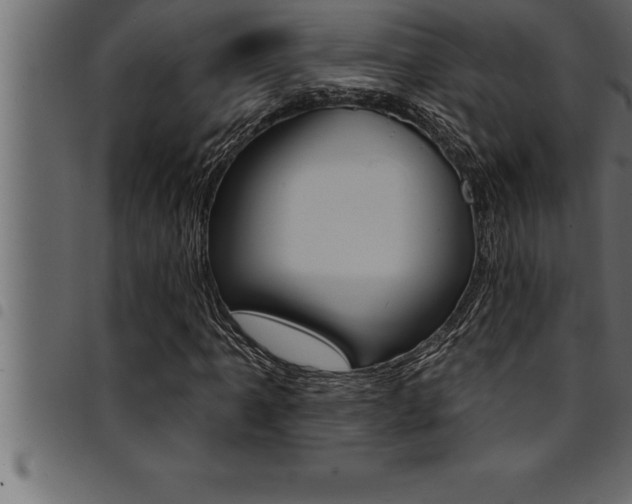 X0000094921061200711291017
