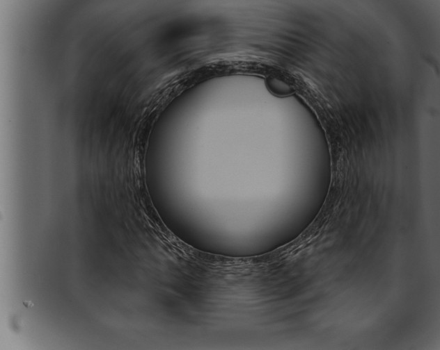 X0000094921062200711291017