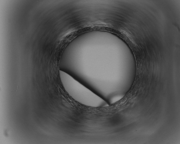 X0000094921063200711291017
