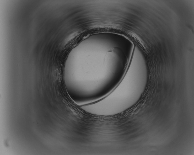 X0000094921064200711291017