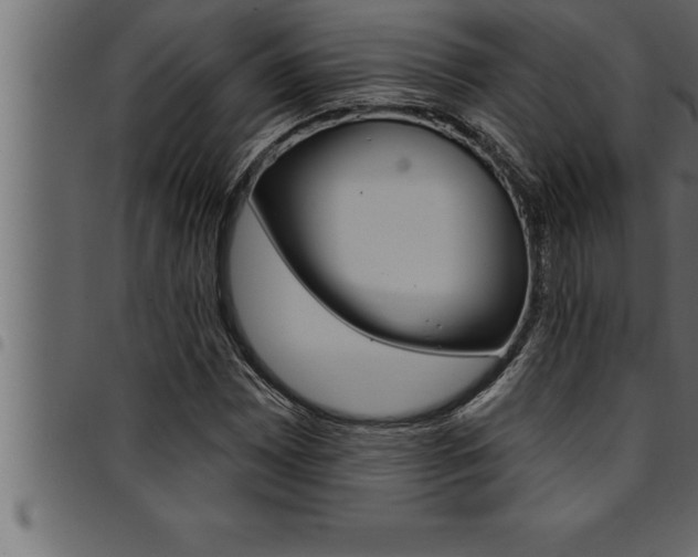 X0000094921065200711291017