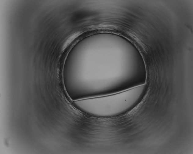 X0000094921066200711291017