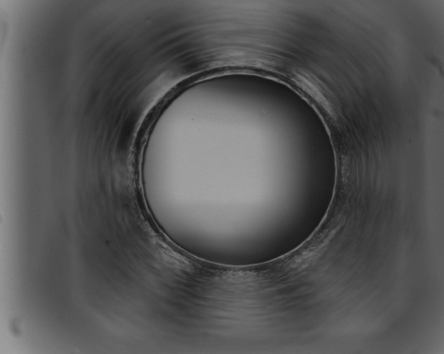 X0000094921068200711291017
