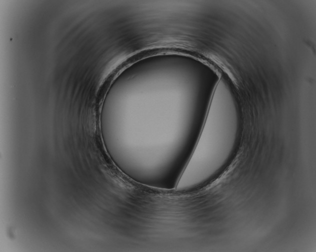 X0000094921069200711291017