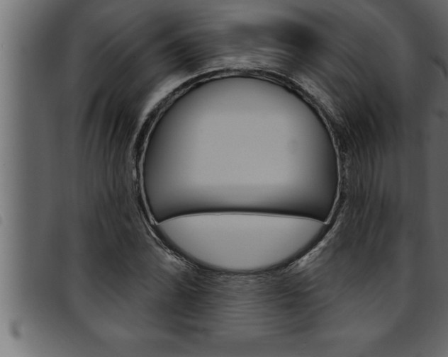 X0000094921070200711291017