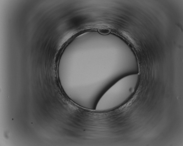 X0000094921071200711291017
