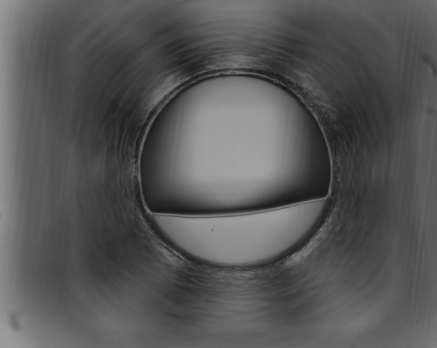 X0000094921073200711291017