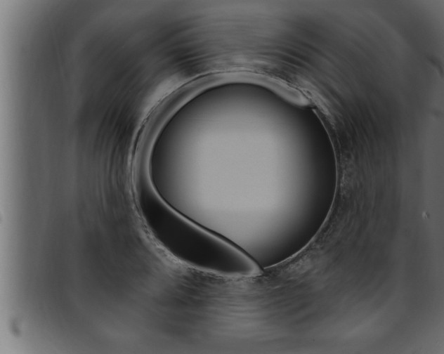 X0000094921080200711291017