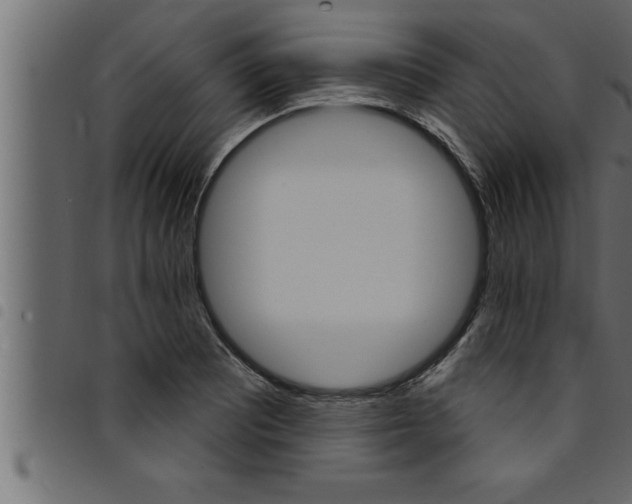 X0000094921081200711291017