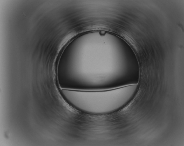 X0000094921082200711291017