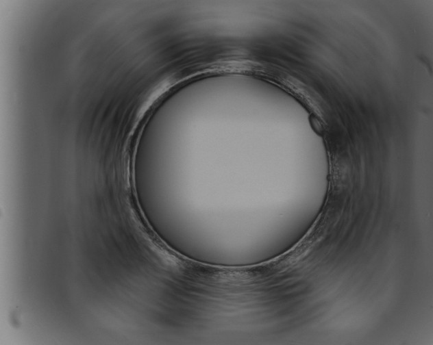 X0000094921083200711291017