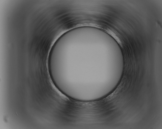 X0000094921084200711291017
