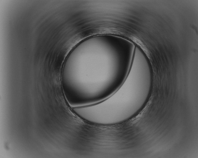 X0000094921089200711291017