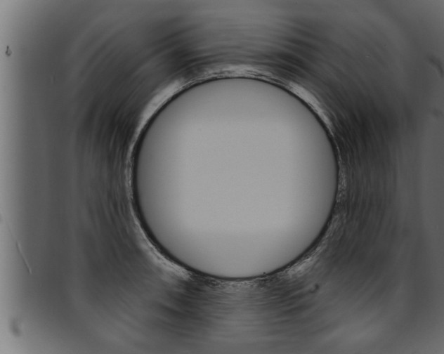 X0000094921090200711291017