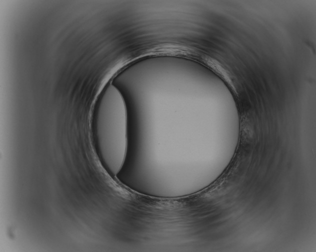 X0000094921091200711291017