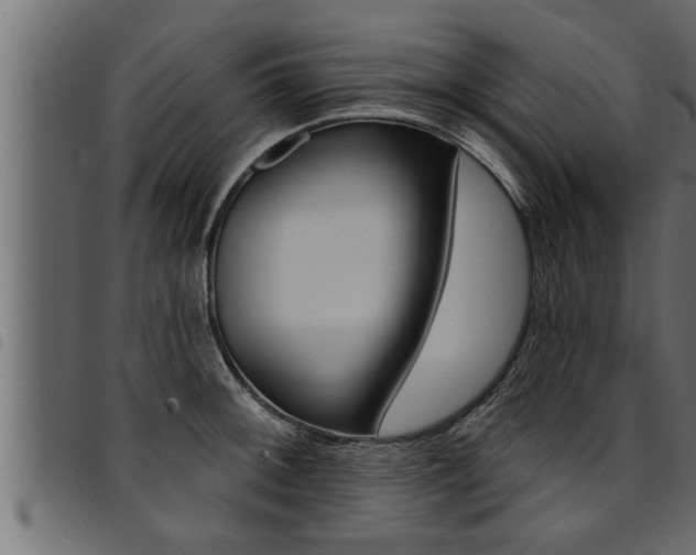 X0000094921092200711291017