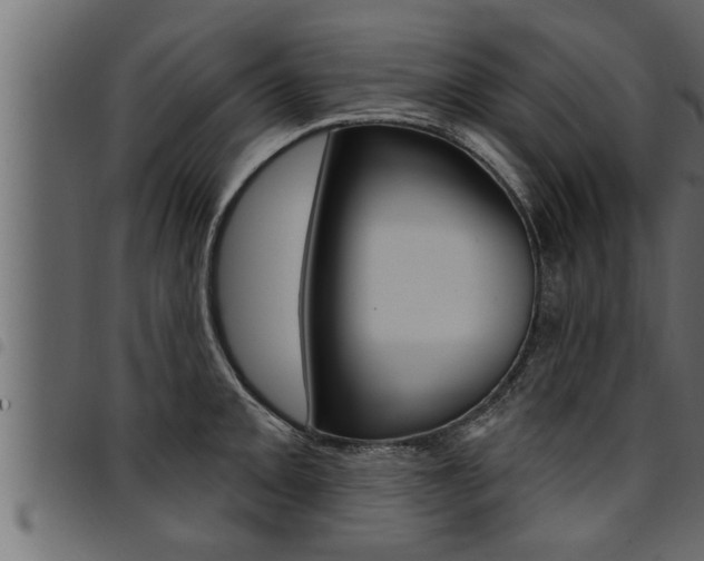 X0000094921093200711291017