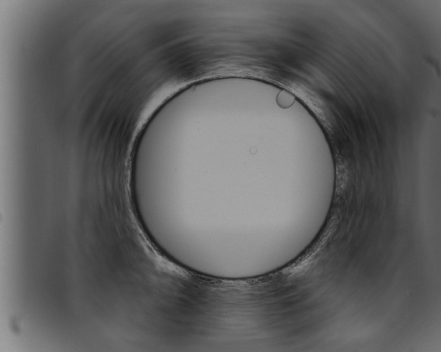 X0000094921094200711291017