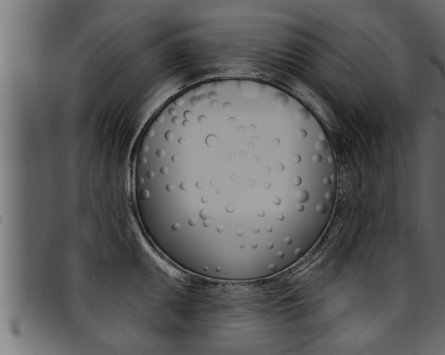 X0000094921095200711291017