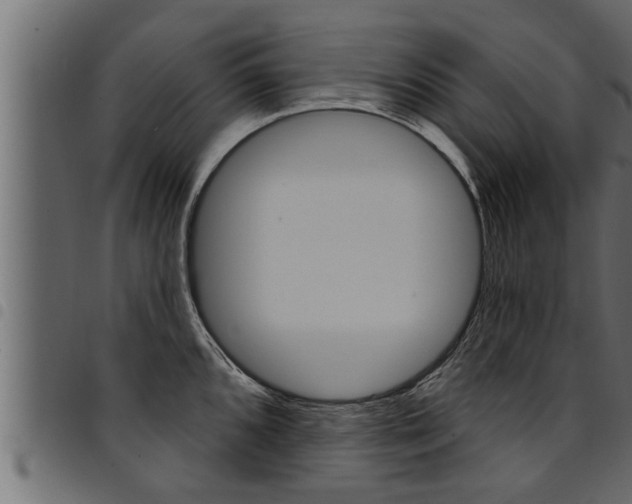 X0000094921096200711291017
