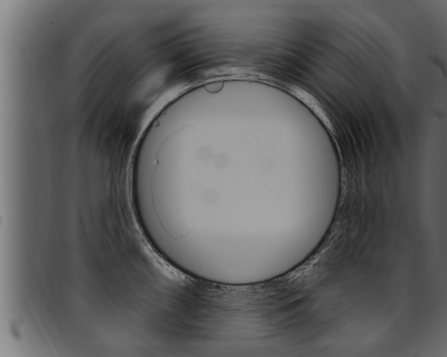 X0000094921098200711291017