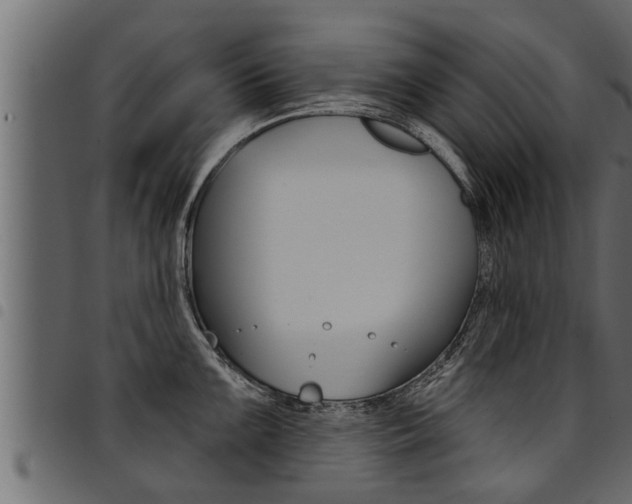 X0000094921099200711291017