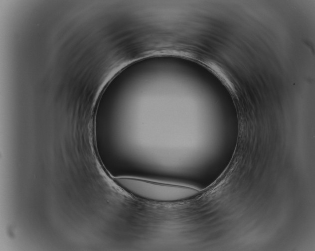 X0000094921100200711291017