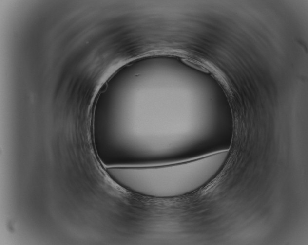 X0000094921102200711291017
