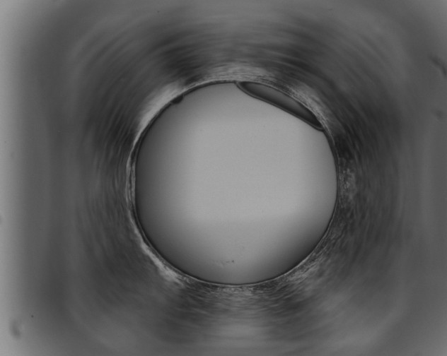 X0000094921103200711291017