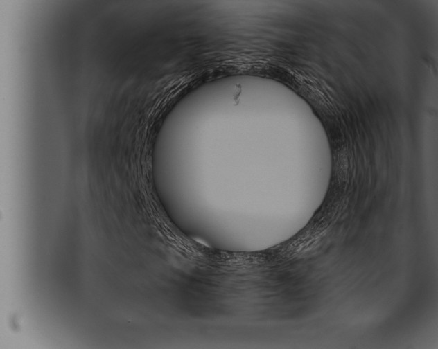 X0000094921105200711291016