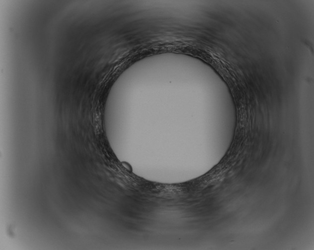 X0000094921109200711291016