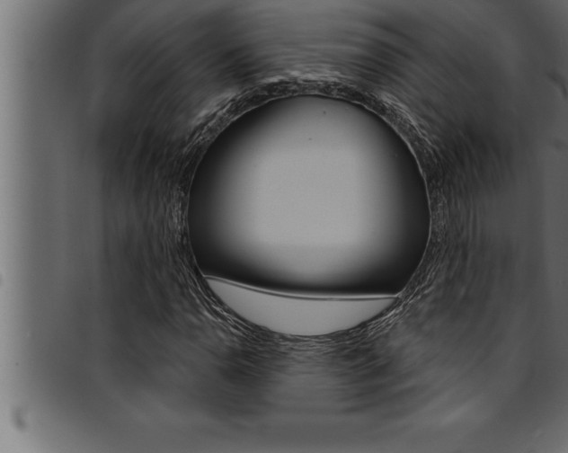 X0000094921110200711291016