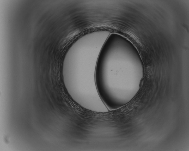 X0000094921111200711291016