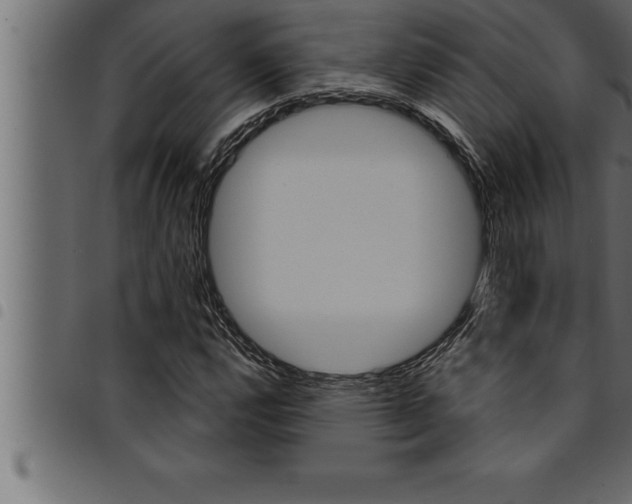 X0000094921112200711291016