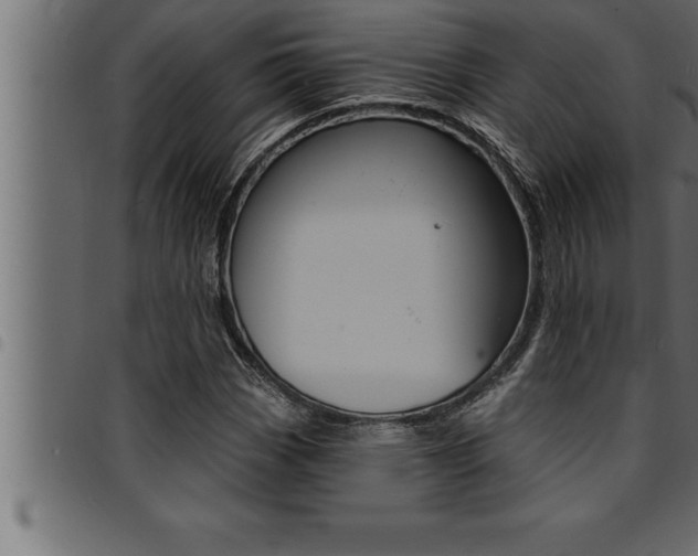 X0000094921113200711291016