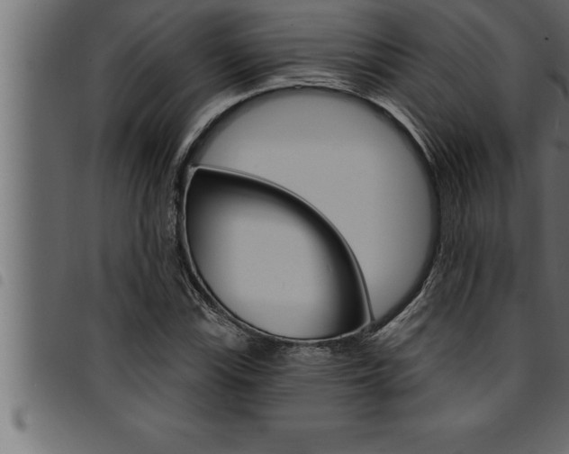 X0000094921115200711291016