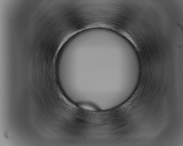 X0000094921116200711291016
