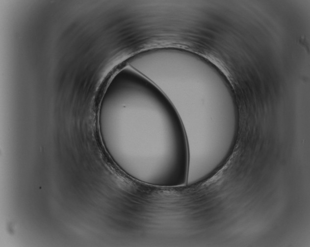 X0000094921119200711291016