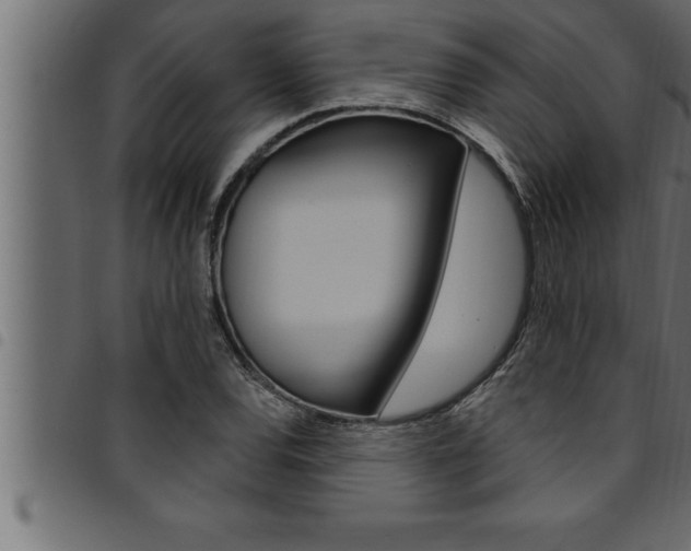 X0000094921120200711291016