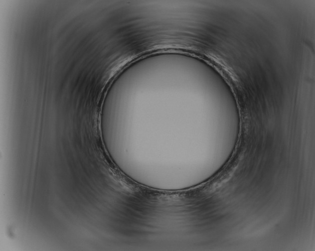 X0000094921121200711291016