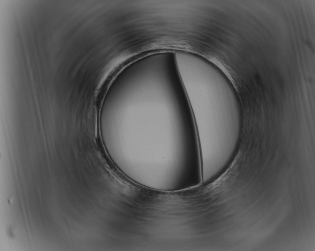 X0000094921123200711291016