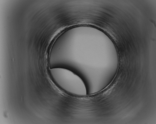 X0000094921126200711291016